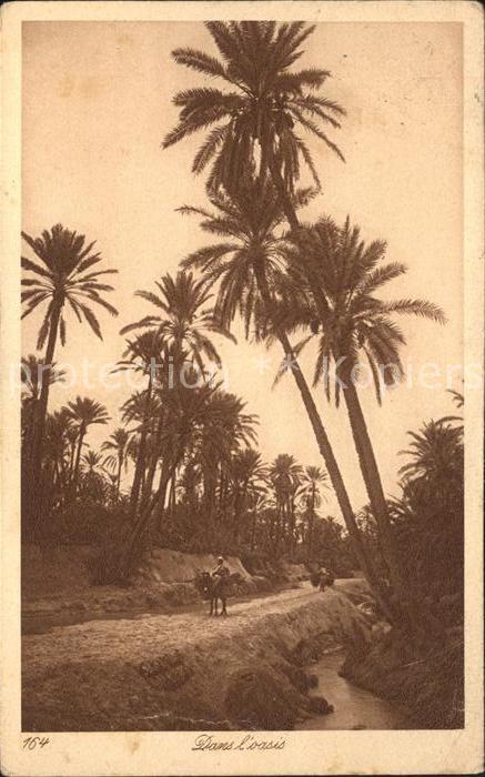 Marokko Maroc Dans oasis