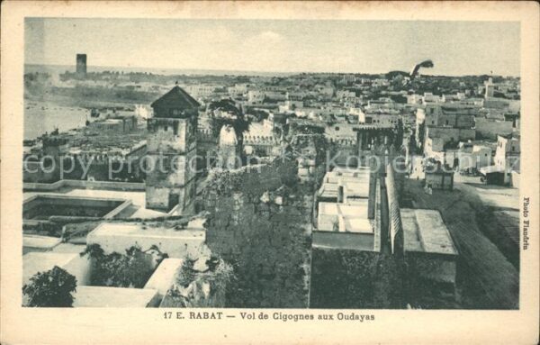 Rabat Marokko Cigognes Oudayas