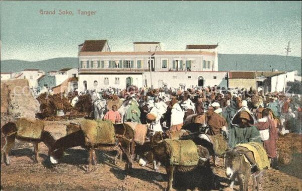 Tanger Tangier Tangiers Markt Esel