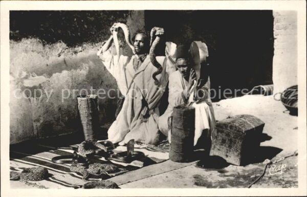 Marokko Maroc Scenes Types Charmeurs Serpents