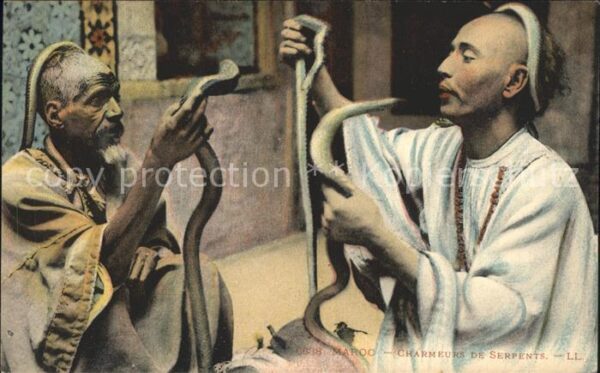 Maroc Marokko Charmeurs Serpents