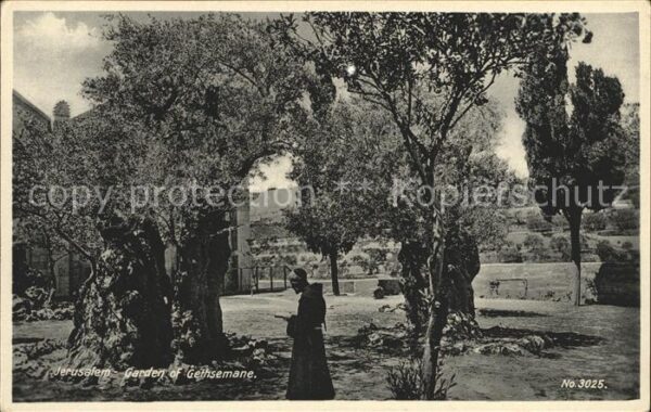 Jerusalem Yerushalayim Garden of Gethsemane