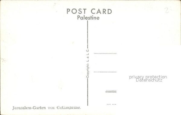 Jerusalem Yerushalayim Garden of Gethsemane – Bild 2