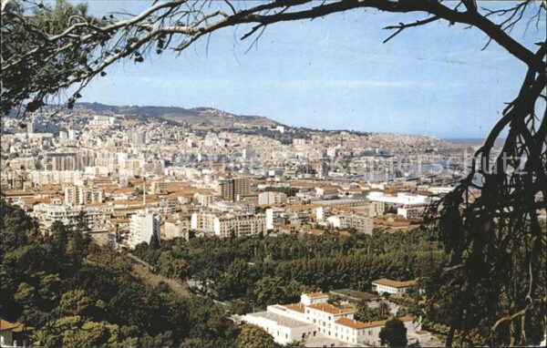 Alger Algerien Vue Generale