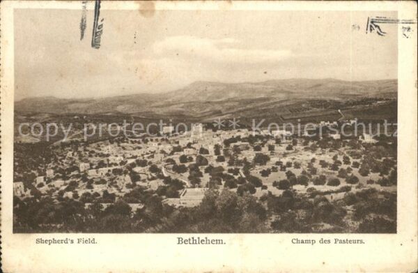 Bethlehem Yerushalayim Shepherds Field Champ des Pasteurs