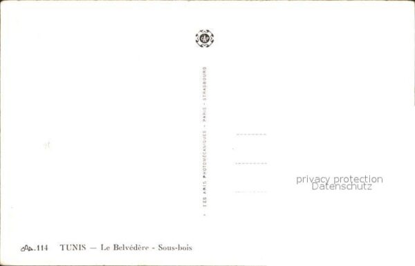 Tunis Le Belvedere Sous bois – Bild 2