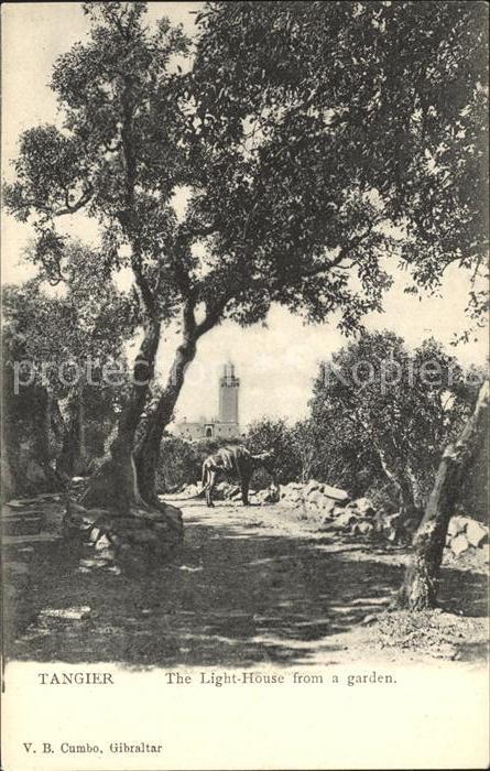 Tanger Tangier Tangiers The Light House from a garden
