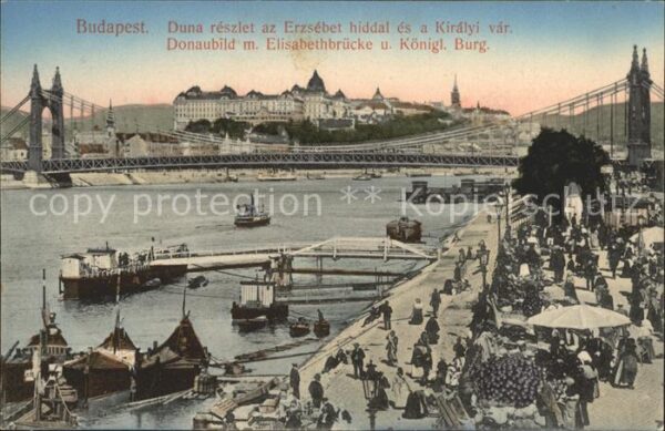 Budapest Donaupartie mit Elisabethbrücke und Kgl