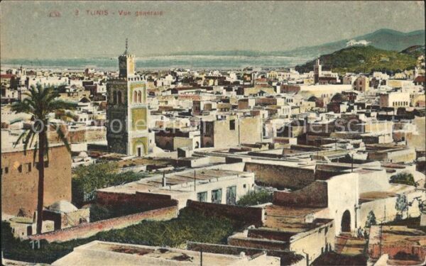 Tunis Vue generale