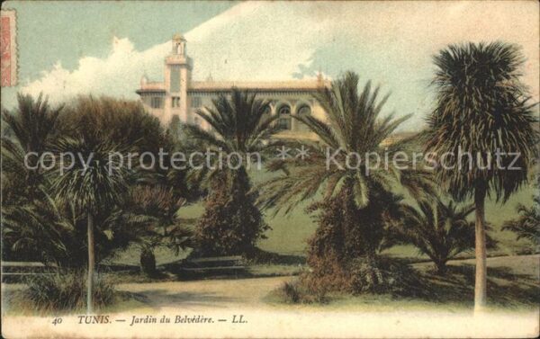 Tunis Jardin du Belvedere