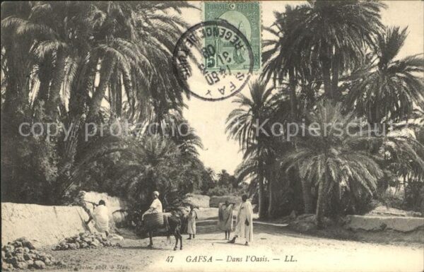 Gafsa Oasis Typen