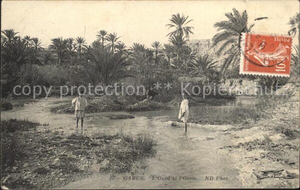 Gabes Oued Oasis