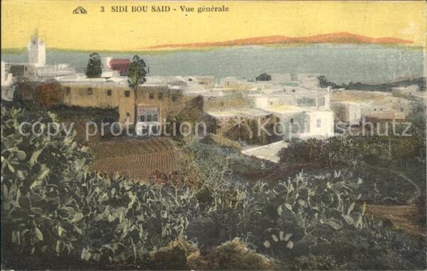 Sidi Bou Said Vue generale