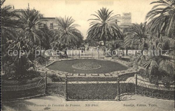 Tunis Parterre Avenue de France