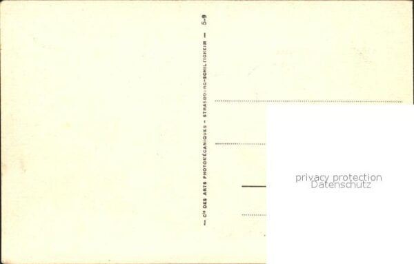 Tozeur Chemin dans la Palmeraie – Bild 2