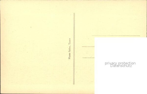 Tozeur Marabout Kamel – Bild 2