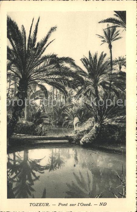 Tozeur Pont sur l'Oued