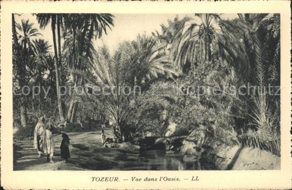 Tozeur Vue dans l'Oasis