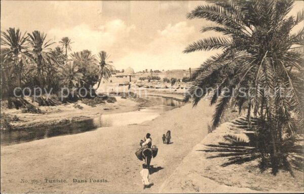 Tunis Dans l'oasis