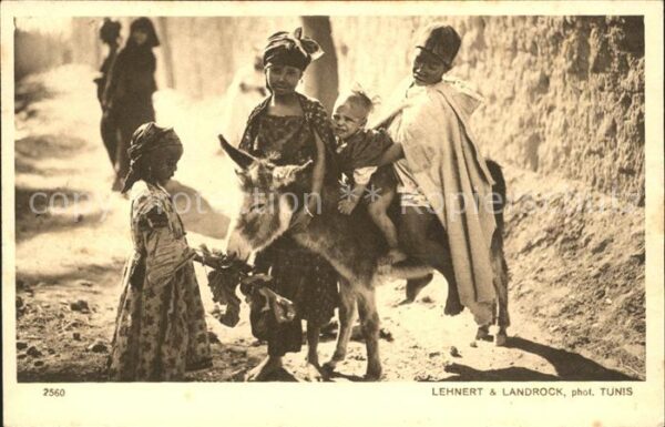 Tunis Les Amies Kinder Esel