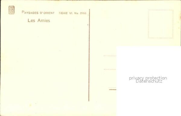 Tunis Les Amies Kinder Esel – Bild 2