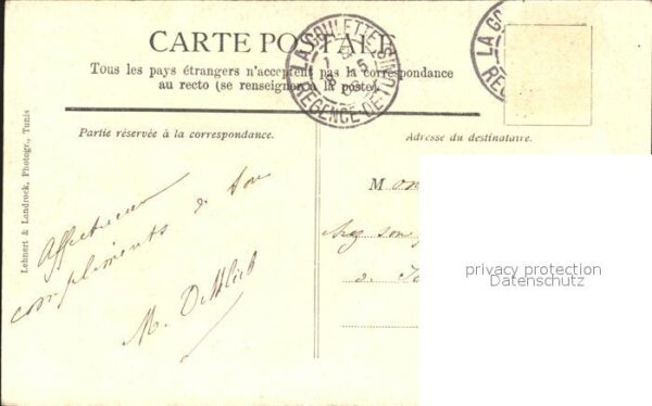 Kamel  Camel Chameau Tunisie Caravane – Bild 2
