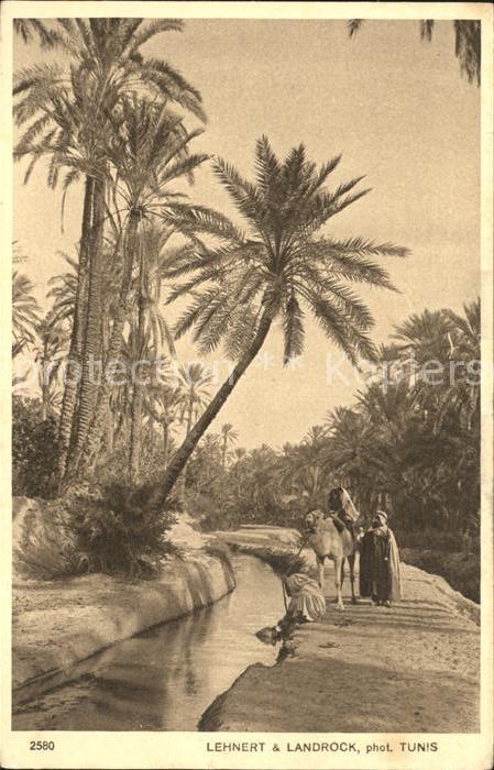 Paysages d Orient Nr. 2580 Dans l'oasis