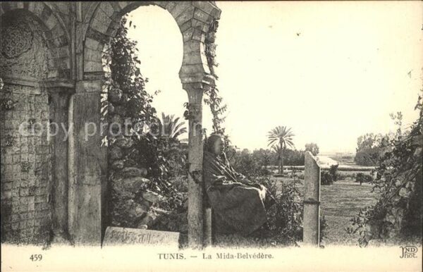 Tunis Mida-Belvedere