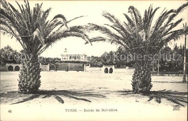 Tunis Entree Belvedere