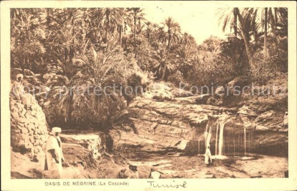 Negrine Oasis Cascade
