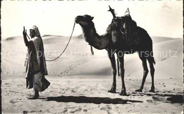 Scenes et Types Nr. 1118 Priere au Desert Kamel