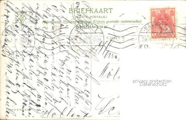 Blumen Bollenland Blumenfeld – Bild 2