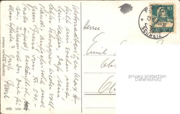 Blumen Bollenland Blumenfeld – Bild 2