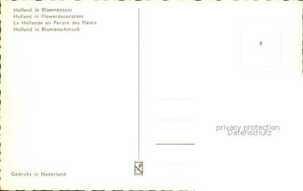 Blumen Windmühle Holland – Bild 2