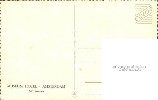 Blumen Blumenfeld – Bild 2