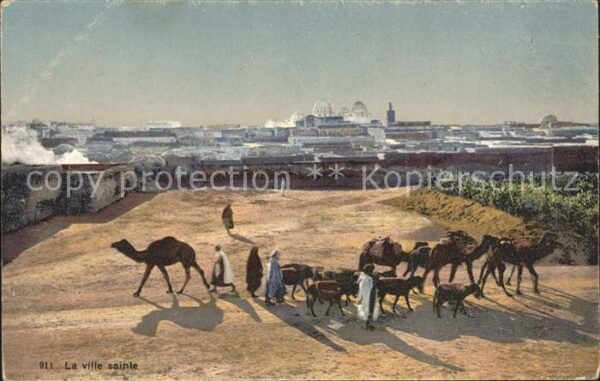 Kamel  Camel Chameau Ville Sainte