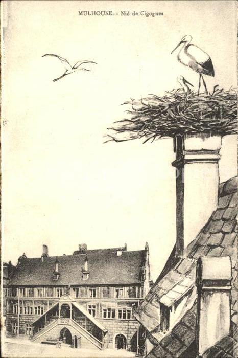 Storch Mulhouse Nid de Cigognes