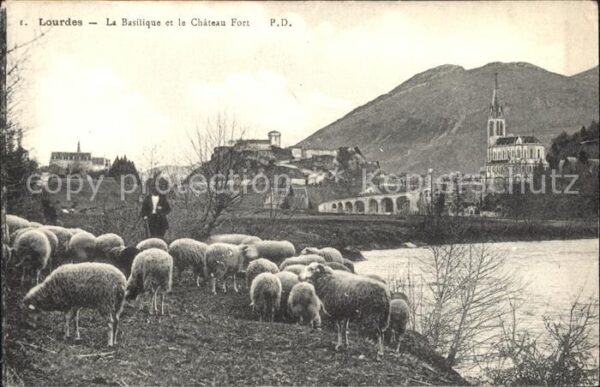Schafe Hirte Lourdes Basilique Chateau Fort
