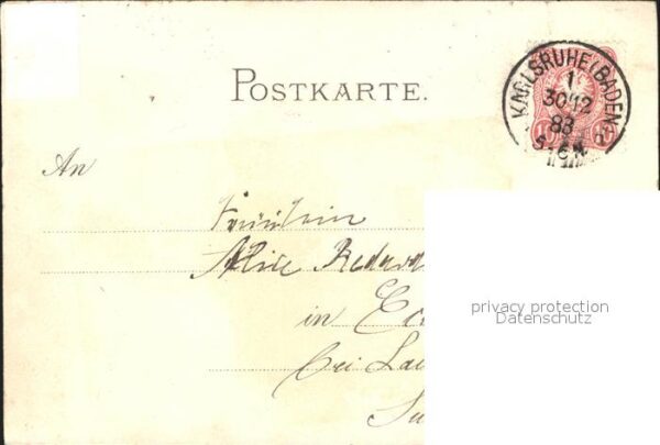 Voegel Schwalbe Nest Litho – Bild 2