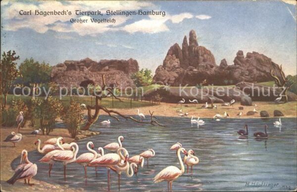 Hagenbeck Vogelteich Flamingos Künstlerkarte M. H