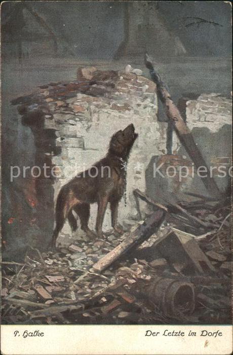 Hunde Ruinen Künstlerkarte Halke Der letzte i