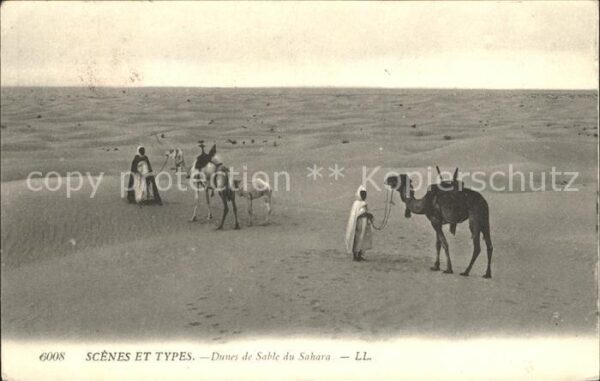 Scenes et Types Nr. 6008 Dunes de Sable du Sahara Kamele
