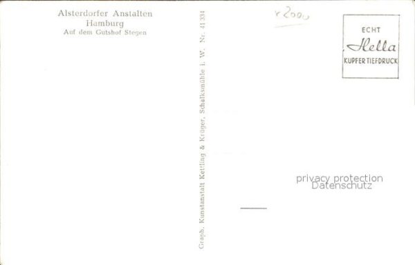 Schafe Gutshof Stegen Alsterdorfer Anstalten H – Bild 2
