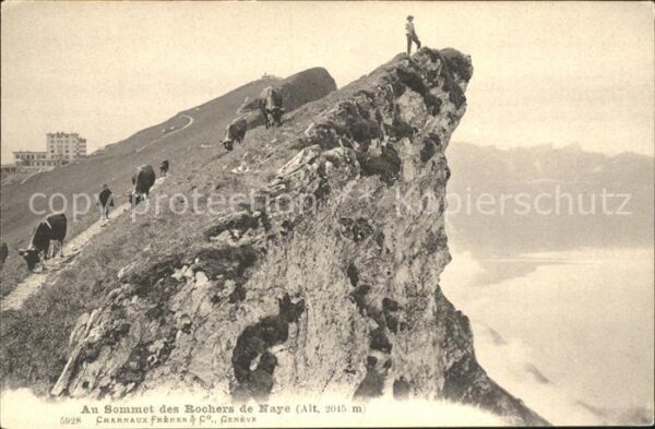 Bergsteigen Klettern Sommet Rochers de Naye