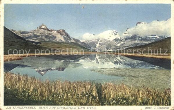 Foto Gaberell J. Nr. 2676 Tannenseeli Graustock Titlis