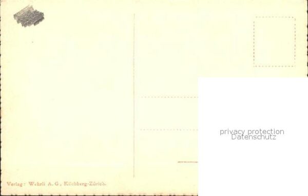 Esel Tiere Eselkutsche – Bild 2