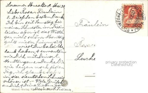 Esel Tiere Eselkutsche Tessin Ticino – Bild 2