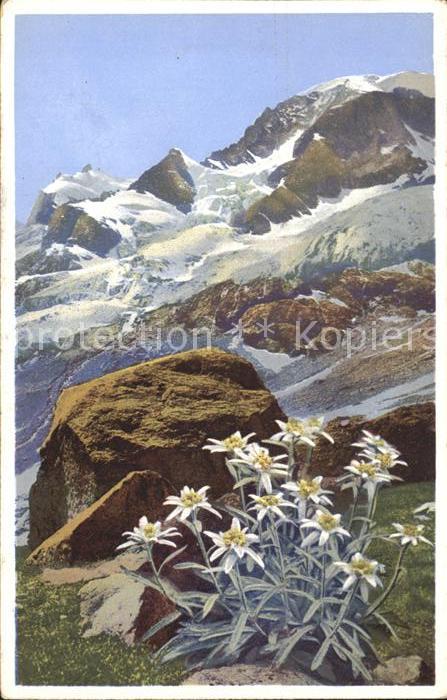 Edelweiss Engadin Berninagruppe Verlag-Photochrom