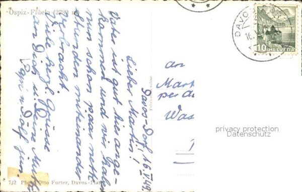 Schafe Herde Ospiz Flüela – Bild 2