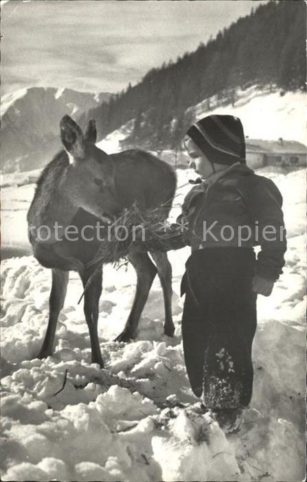 Reh Kind Davos Winter